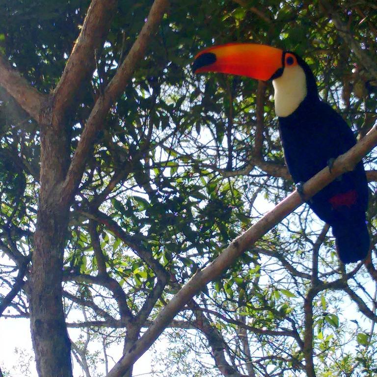 Itaipava Pousada Tucano Do Cuiaba מראה חיצוני תמונה